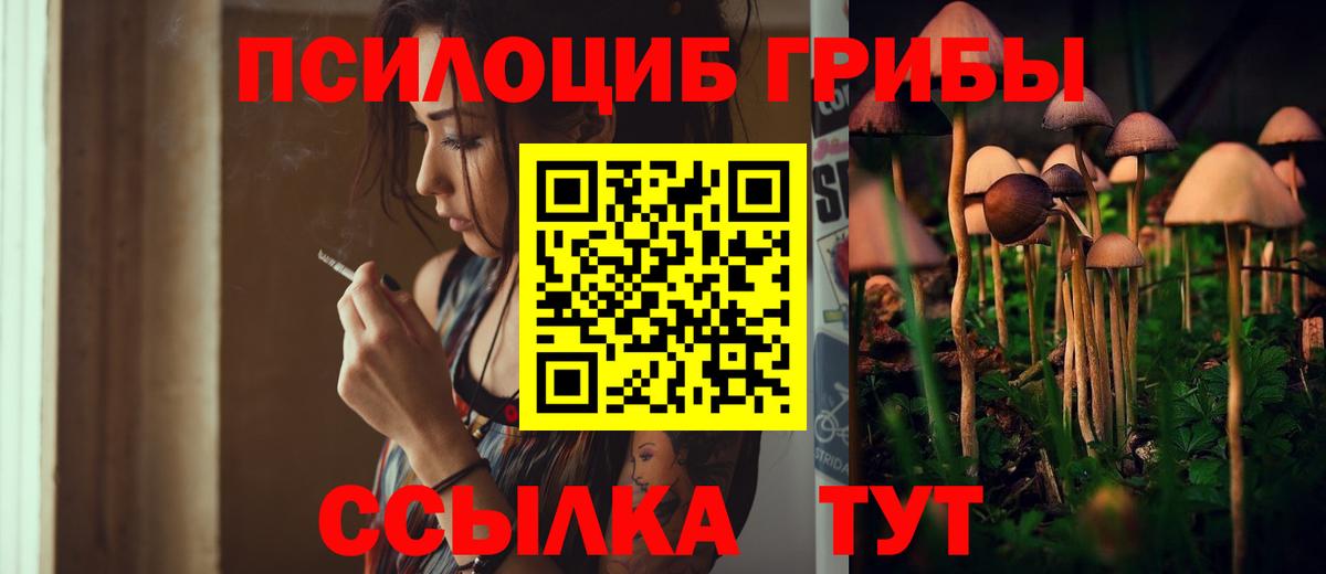 как найти закладки  Вход с VPN  Коряжма  Псилоцибиновые грибы MAGIC MUSHROOMS 